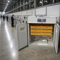 Incubateur à œufs automatique pour pigeons de marque populaire, capacité 528 œufs, en vente