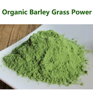 Hongda 2021 Organic Barley Grass Juice Powder Sachet OEM