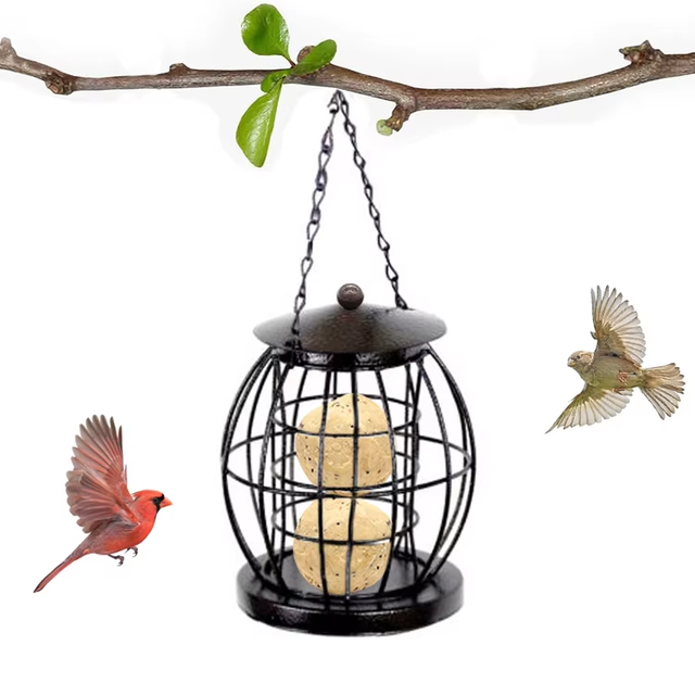 Backyard Mini Metal Hanging Wild Bird Feeder Cage Squirrel Proof Suet Ball Feeder for Birds