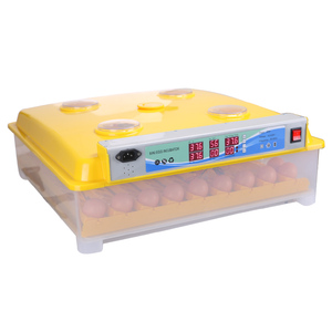 Incubadora de huevos de Material grueso, 294 huevos, <span class=keywords><strong>codorniz</strong></span>, pato, aves de corral, doble potencia, automática - Product Image 6