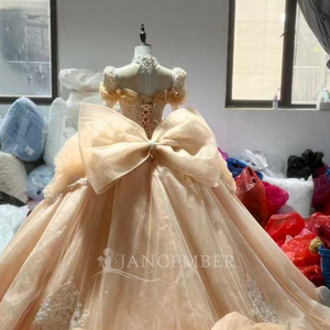 Robe de mariée élégante en organza style princesse française Xs242 Royal Lace avec traîne chapelle pour la mariée et la mère de la mariée - Product Image 4