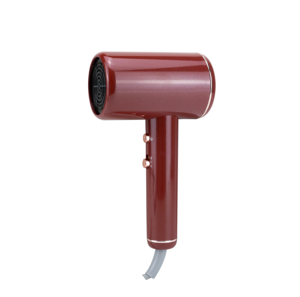 ANBOLIFE Sèche-<span class=keywords><strong>cheveux</strong></span> professionnel DC Sèche-<span class=keywords><strong>cheveux</strong></span>, Sèche-<span class=keywords><strong>cheveux</strong></span> de voyage à séchage rapide <span class=keywords><strong>Crochet</strong></span> de suspension avec concentrateur - Product Image 1