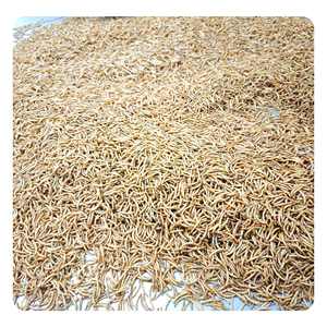 הנמכר ביותר של סין להקפיא חלבון גבוה מיובשות נקי מזון יבש - Product Image 3