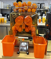 ETL-gecertificeerde commerciële automatische sinaasappelpers NS2000E-2 Economische verse citruspers 20 sinaasappels/min