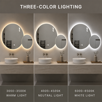 Miroir de salle de bain LED lumineux à deux cercles combinés, avec détection tactile et rétroéclairage, à suspendre au mur, pour la maison, l'hôtel, commandes en gros