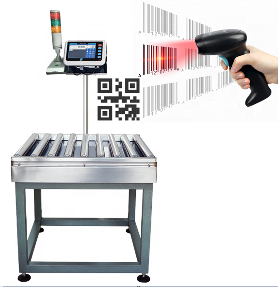 High Precision Check Weigher Static Checkweigher Weight Checker Roller Conveyor for Carton Conveyor Weight Detection