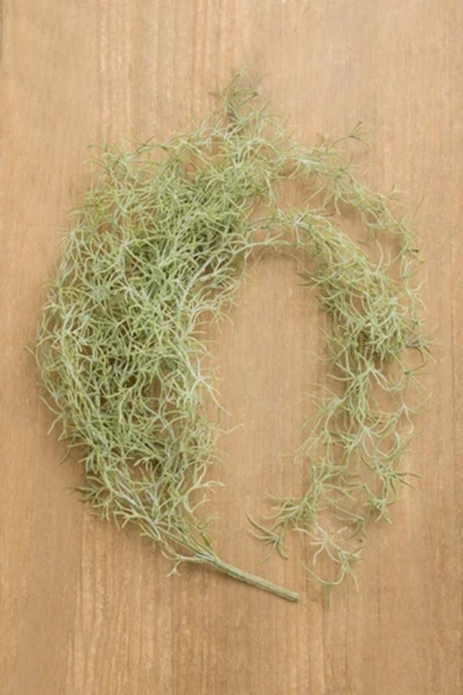 Verde chiaro