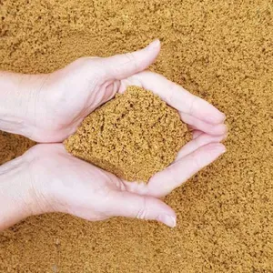 Arena de Río de la Mejor Calidad de Macro Global, Procedente de Delhi, a Precio de Mayoreo - Product Image 1