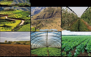 เครื่องเก็บเกี่ยวข้าวและเครื่องเก็บเกี่ยวข้าวสาลีขนาดเล็กขับเคลื่อนตัวเอง - Product Image 6