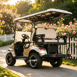 Carrito de Golf Eléctrico de Diseño Curvo y Elegante, Personalizado, para Villas de Lujo, Parques de Ocio y Grandes Compras - Product Image 1