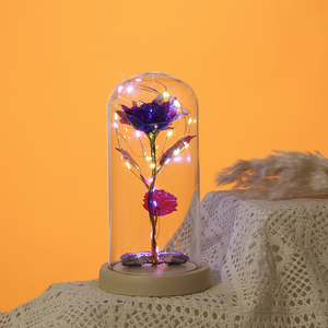 La belle et la bête Rose dans un dôme en verre papillon cadeaux pour la fête des mères Light Up Rose éternelle - Product Image 3