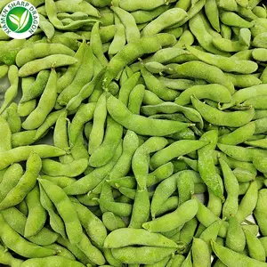 Supplier Export Bulk Peeled Shelled Natural Soybeans Beans Price Frozen Raw Edamame Kernels