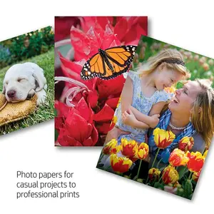 Eco Office Paper A4 High Glossy Photo Paper For Color Inkjet Printers and Pigment Ink Printer, Laser Printer