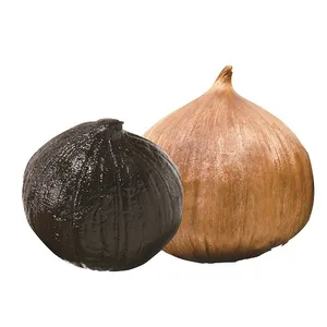 2024 New Crop Ajo Negro Chinese Black Garlic With Halal Certificate