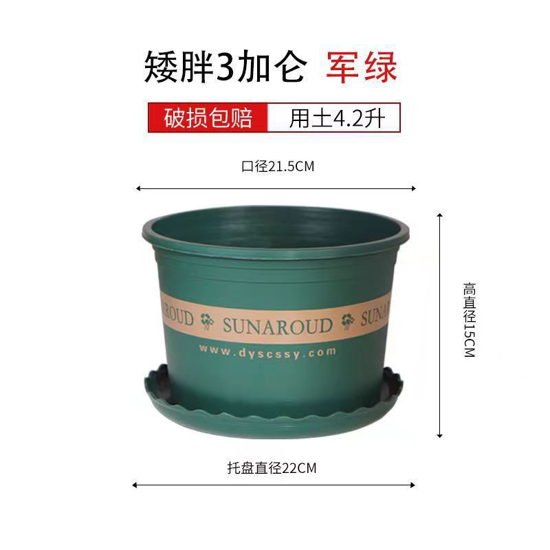 Court Taille 3 [Diamètre 22cm] 1 pièce