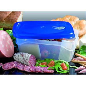 FRESKA PLASTIC <b>CONTAINER</b> 29.6X21.5X11.7CM 5LT - Product Image 1