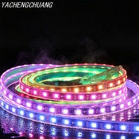 Bande LED RVBIC adressable 5050 DC 24V étanche IP68, éclairage de piscine à couleurs changeantes, fournisseur direct d'usine