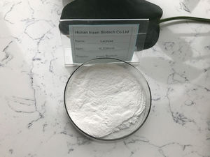 Insen fournit des additifs alimentaires, meilleur <span class=keywords><strong>prix</strong></span> pour l'enzyme <span class=keywords><strong>lactase</strong></span> - Product Image 2