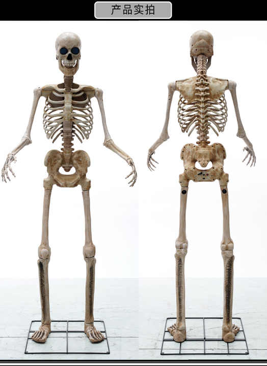 5.2 feet skeleton Halloween large luminous sound swing electronic animation novelty electric induction skeleton skull prop