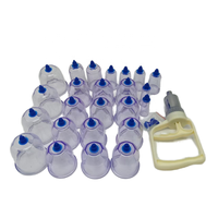 Kit de ventouses transparentes certifiées CE de 24 pièces pour massage corporel, acupuncture chinoise et traitement par aspiration musculaire