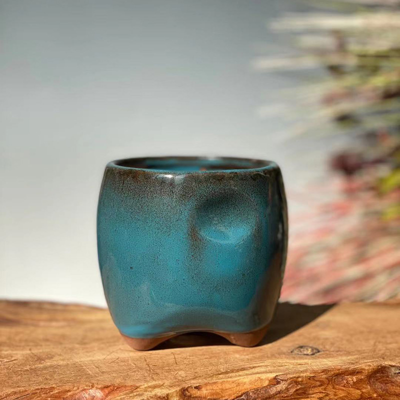 Foresta pluviale blu