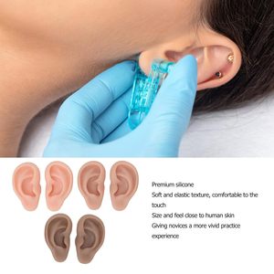 Oreilles d'entraînement <span class=keywords><strong>en</strong></span> silicone réalistes <span class=keywords><strong>3D</strong></span>, souples et réutilisables, 3 couleurs, pour la pratique du perçage et l'enseignement, conformes CE/ISO - Product Image 4