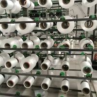 1t 2t 3t 4t 5t 6t 8t 10t 12t düz Web % kemer kayışı Polyester sonsuz kaldırma Eslinga kumaş dokuma düz Web Sling
