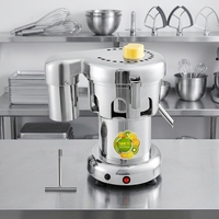 Extracteur de jus professionnel en acier inoxydable robuste 370W pour fruits et légumes