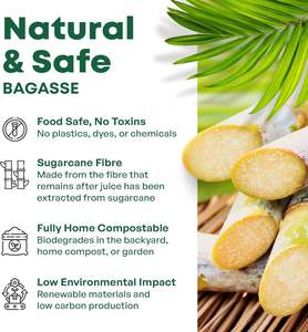 Boîte à bento récipient carré Sugee Canne à sucre pulpe bagasse récipient alimentaire avec couvercle - Product Image 5