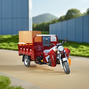 รถสามล้อบรรทุกแบบเปิด ผลิตในจีน ขายดี รับน้ำหนักได้ 400 กก. ใช้เชื้อเพลิงเบนซิน - Product Image 3