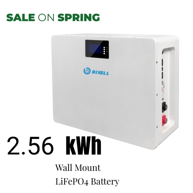 25.6V 100Ah Wall-Mounted LiFePO4 Split Hybrid Grid CAN Solar Home Storage Battery 2.56kWh 5kWh