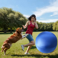 Housse de protection pour balle de dressage pour chien en nylon 1680D résistant aux déchirures et imperméable, pour Berger australien et Collie, idéale pour les jeux en extérieur et sur la plage