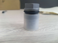 Soupape de surpression pour pompe Common Rail 1110010018, Soupape limiteuse 1110010018
