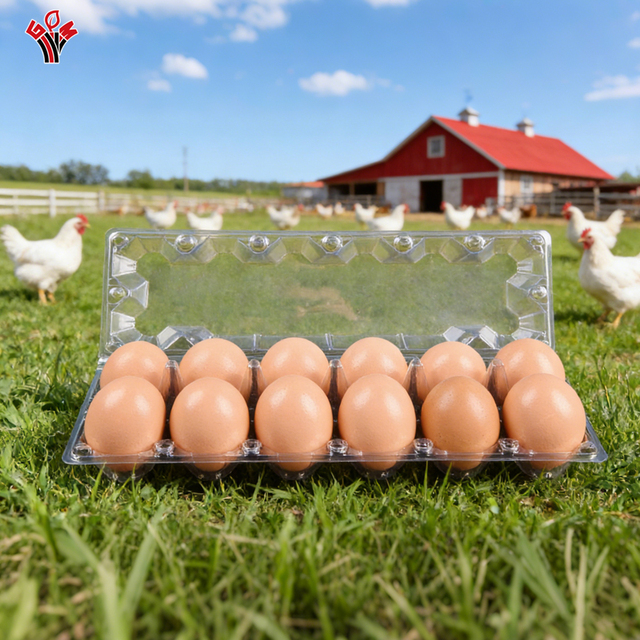 Reusable Disposable Plastic Egg Trays Cartons Transparent Recycled PET Rectangle Shape 8/12/15/30 Eggs Bulk Packaging