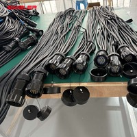 Câble d'extension Socapex 19 broches 19*2.5mm en cuivre pur, câble de distribution d'alimentation 19 conducteurs pour éclairage de scène, câble Socapex mâle-femelle