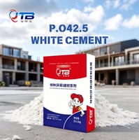 Ciment Portland Blanc JTB Design Moderne Premium 425 pour Construction 42,5 MPa à Durcissement Extra Rapide Faible Émission de Chaleur Décoratif