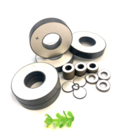 OEM ukuran 5mm-100mm Disc Piezo keramik