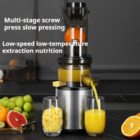 Volautomatische Huishoudelijke Kleine Juicer Sap Pulp Scheiding Multi-Functionele Fruit Juicer Pp Plastic Easy Sap Extractor