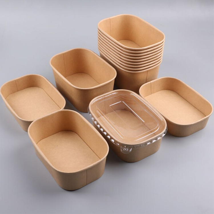 Terrax Customized Disposable Compostable Rectangular Square Salad Paper Bowls Takeout Eco-Friendly Paper Plate