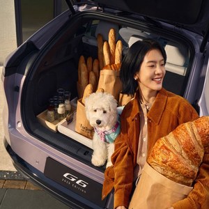 XPENG G6 5C Ricarica Ultra-Rapida XNGP ADAS SUV Elettrico Coupé 4.1s 0-100km/h Batteria 80.8kWh Doppio Motore 480hp AWD Auto Usata 525km - Product Image 4