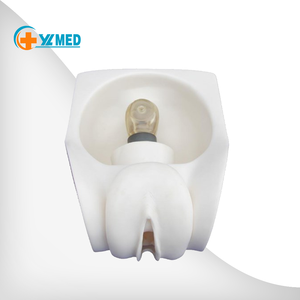 Tıbbi Bilim Kadın Doğum Kontrol Uygulama Modeli Hastane Jinekoloji Bölümü için Tıbbi Eğitim Modelleri - Product Image 1