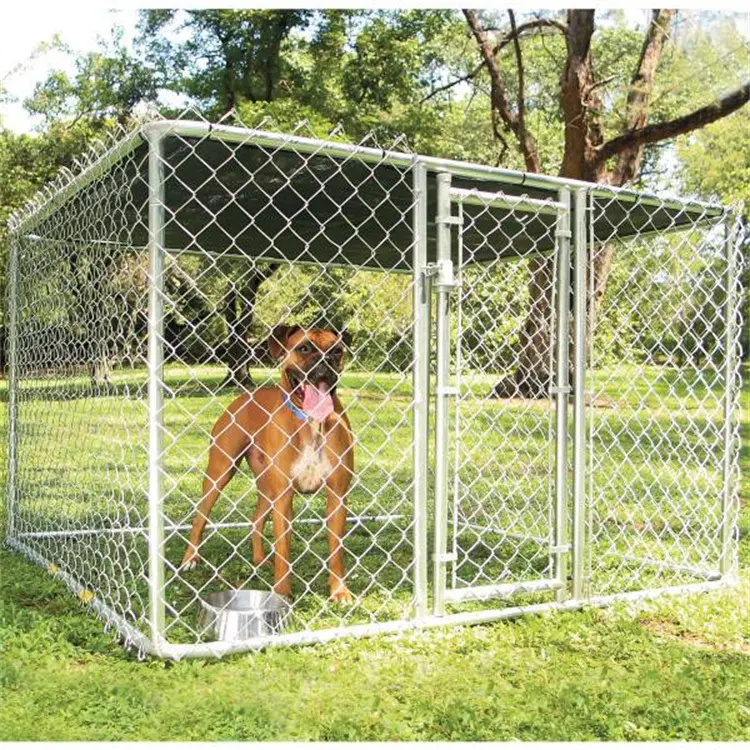 Vente en gros à bas prix Grande clôture extérieure pour chien à maillons de chaîne