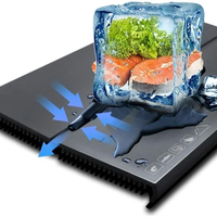 Plateau de décongélation rapide magnifiquement plateau de dégivrage rapide décongeler nourriture viande fruits plaque de dégivrage rapide conseil dégivrage cuisine Gadget outil