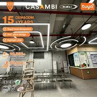 Profilé LED incurvé personnalisable avec contrôle intelligent Casambi DALI Tuya pour les projets de plafonds architecturaux modernes