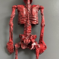Esqueleto Sangriento Realista para Decoración de Halloween, Accesorios de Terror con Articulaciones Totalmente Posables, Huesos de Cuerpo Humano para Cementerio, Jardín y Exteriores