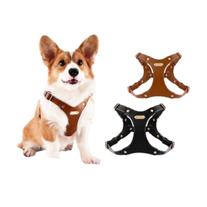 Penjualan laris tali kekang anjing kulit mewah nyaman dan tahan air untuk petualangan luar ruangan produk hewan peliharaan utama - Product Image 1