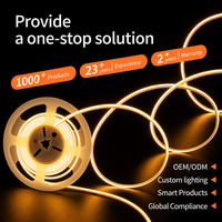 Bande LED OEM ODM 12V 15W/m 2835 3000K IP20 Rouleau de 5m avec adhésif 3M et télécommande dimmable pour éclairage d'ambiance de plancher de voiture