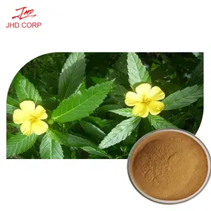 Best price pure damiana leaf extract Stimulate male hormones damiana extract