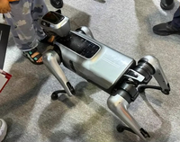 2026 Dreame WLAN Intelligenter Großer Metall-Vierbeiniger Roboter Bionischer Hund IP67-Schutzklasse 5KG Nutzlast Programmierbarer Smarter Roboter 110V/220V