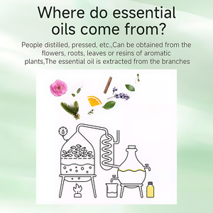 น้ำมันบำรุงผิวกายบริสุทธิ์ 10 มล. กลิ่นกุหลาบลาเวนเดอร์ น้ำมันหอมระเหยสมุนไพร บำรุงผิวหน้า ช่วยให้ผิวกระชับ บำรุงผิว บรรเทาอาการปวด เหมาะสำหรับทุกสภาพผิว รับผลิตแบบ OEM - Product Image 5